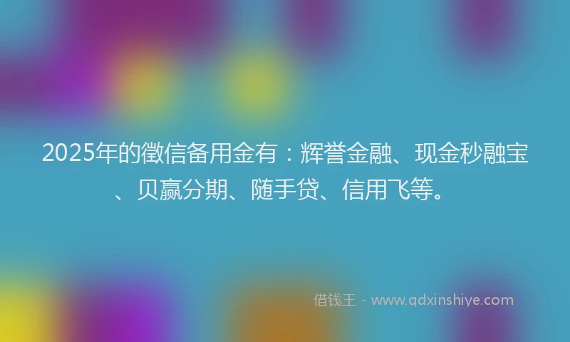 2025年的徵信备用金有：辉誉金融、现金秒融宝、贝赢分期、随手贷、信用飞等。