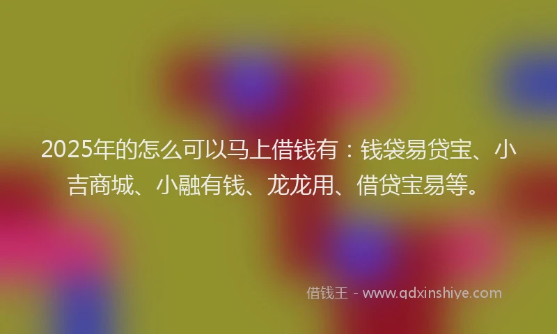 2025年的怎么可以马上借钱有：钱袋易贷宝、小吉商城、小融有钱、龙龙用、借贷宝易等。