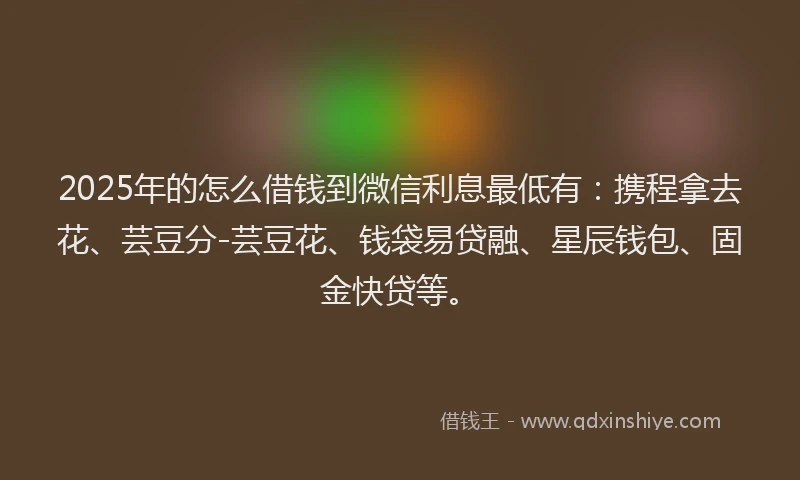 2025年的怎么借钱到微信利息最低有：携程拿去花、芸豆分-芸豆花、钱袋易贷融、星辰钱包、固金快贷等。