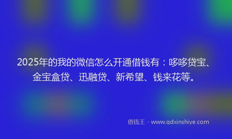 2025年的我的微信怎么开通借钱有：哆哆贷宝、金宝盒贷、迅融贷、新希望、钱来花等。