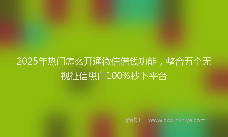 2025年热门怎么开通微信借钱功能，整合五个无视征信黑白100%秒下平台