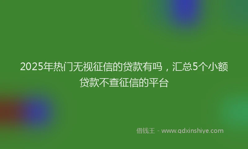 2025年热门无视征信的贷款有吗，汇总5个小额贷款不查征信的平台
