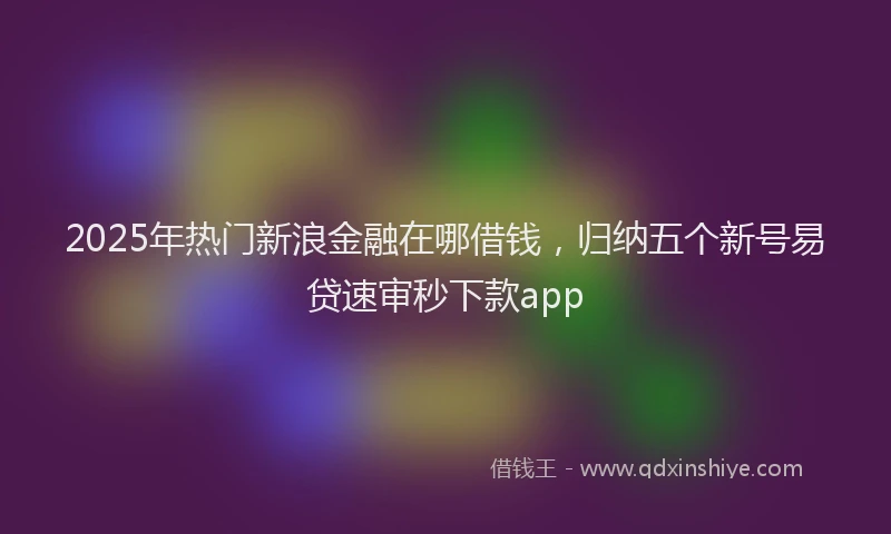 2025年热门新浪金融在哪借钱，归纳五个新号易贷速审秒下款app