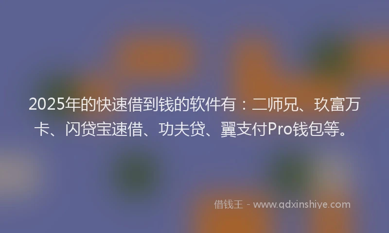 2025年的快速借到钱的软件有：二师兄、玖富万卡、闪贷宝速借、功夫贷、翼支付Pro钱包等。