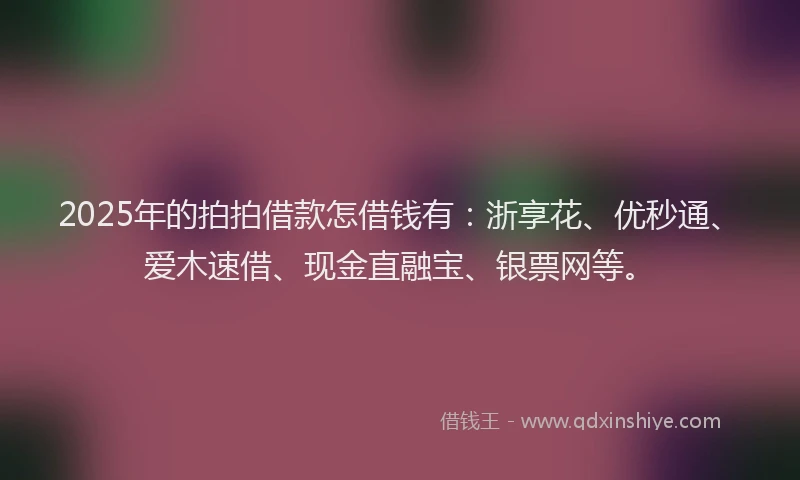 2025年的拍拍借款怎借钱有：浙享花、优秒通、爱木速借、现金直融宝、银票网等。