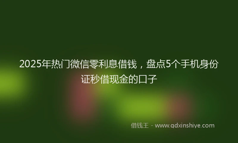 2025年热门微信零利息借钱，盘点5个手机身份证秒借现金的口子