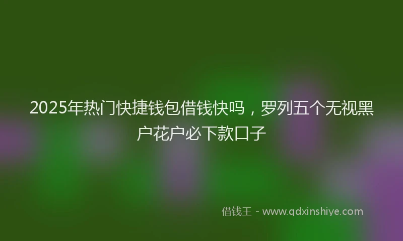 2025年热门快捷钱包借钱快吗，罗列五个无视黑户花户必下款口子