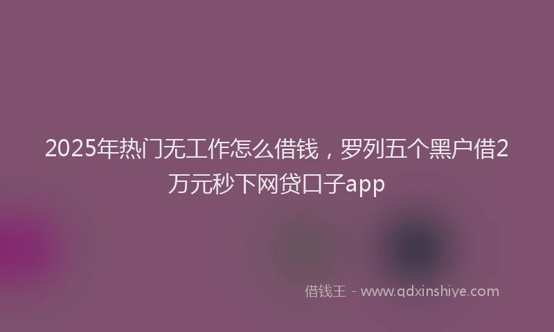2025年热门无工作怎么借钱，罗列五个黑户借2万元秒下网贷口子app