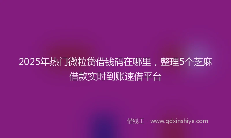 2025年热门微粒贷借钱码在哪里，整理5个芝麻借款实时到账速借平台