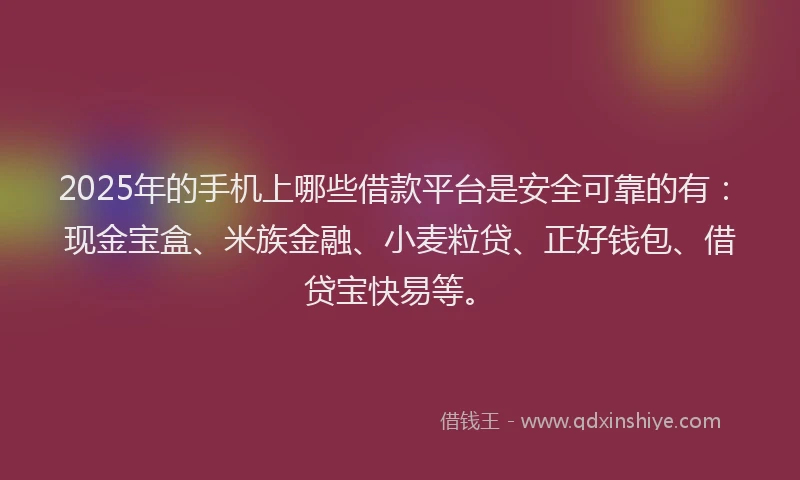 2025年的手机上哪些借款平台是安全可靠的有：现金宝盒、米族金融、小麦粒贷、正好钱包、借贷宝快易等。