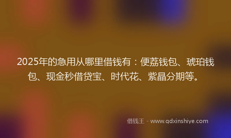 2025年的急用从哪里借钱有：便荔钱包、琥珀钱包、现金秒借贷宝、时代花、紫晶分期等。