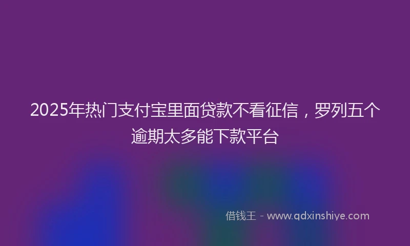 2025年热门支付宝里面贷款不看征信，罗列五个逾期太多能下款平台