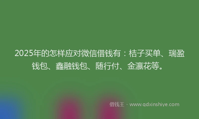 2025年的怎样应对微信借钱有：桔子买单、瑞盈钱包、鑫融钱包、随行付、金瀛花等。