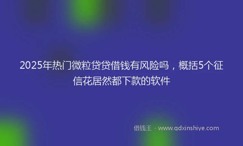 2025年热门微粒贷贷借钱有风险吗，概括5个征信花居然都下款的软件