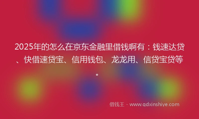 2025年的怎么在京东金融里借钱啊有：钱速达贷、快借速贷宝、信用钱包、龙龙用、信贷宝贷等。