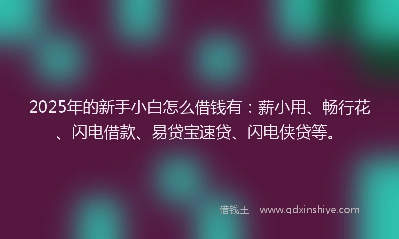 2025年的新手小白怎么借钱有：薪小用、畅行花、闪电借款、易贷宝速贷、闪电侠贷等。