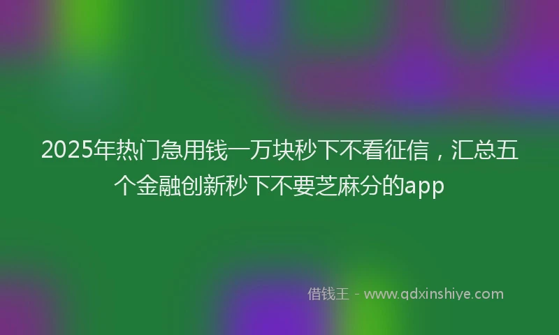 2025年热门急用钱一万块秒下不看征信，汇总五个金融创新秒下不要芝麻分的app