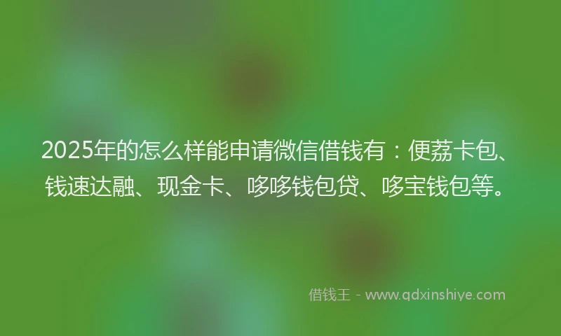 2025年的怎么样能申请微信借钱有：便荔卡包、钱速达融、现金卡、哆哆钱包贷、哆宝钱包等。