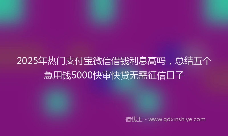 2025年热门支付宝微信借钱利息高吗，总结五个急用钱5000快审快贷无需征信口子