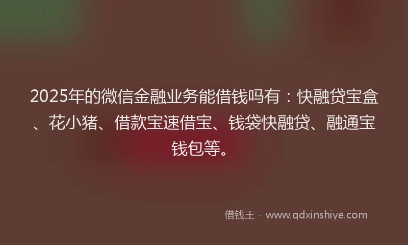 2025年的微信金融业务能借钱吗有：快融贷宝盒、花小猪、借款宝速借宝、钱袋快融贷、融通宝钱包等。