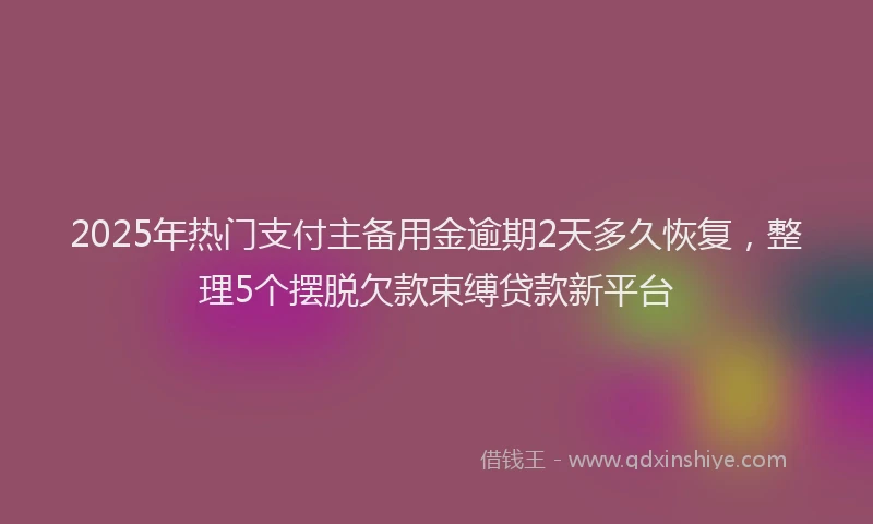 2025年热门支付主备用金逾期2天多久恢复，整理5个摆脱欠款束缚贷款新平台