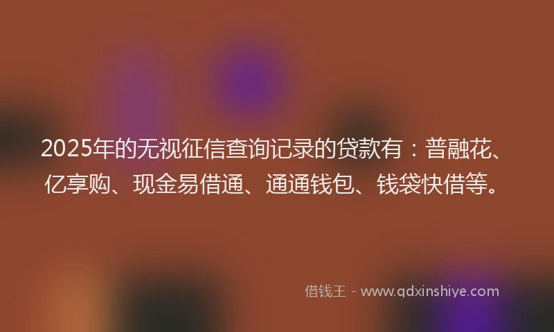 2025年的无视征信查询记录的贷款有：普融花、亿享购、现金易借通、通通钱包、钱袋快借等。