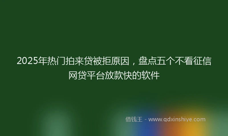 2025年热门拍来贷被拒原因，盘点五个不看征信网贷平台放款快的软件