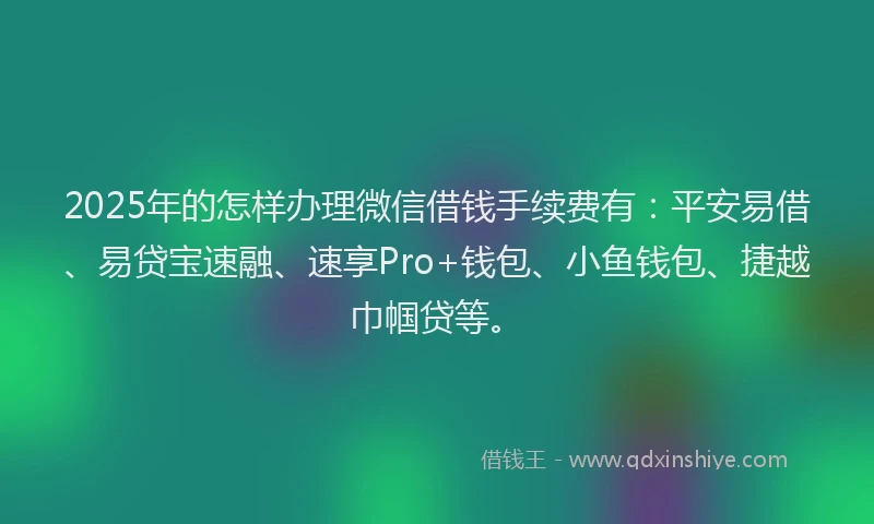 2025年的怎样办理微信借钱手续费有：平安易借、易贷宝速融、速享Pro+钱包、小鱼钱包、捷越巾帼贷等。