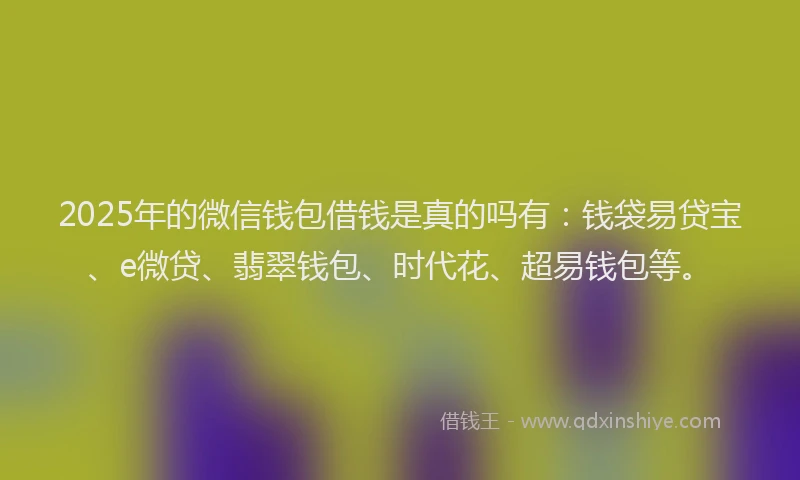 2025年的微信钱包借钱是真的吗有：钱袋易贷宝、e微贷、翡翠钱包、时代花、超易钱包等。