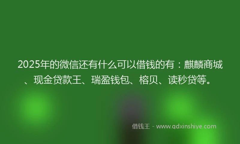 2025年的微信还有什么可以借钱的有：麒麟商城、现金贷款王、瑞盈钱包、榕贝、读秒贷等。