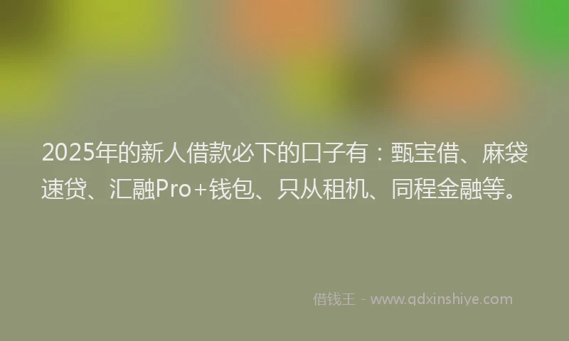 2025年的新人借款必下的口子有：甄宝借、麻袋速贷、汇融Pro+钱包、只从租机、同程金融等。