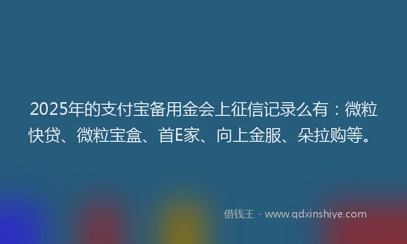 2025年的支付宝备用金会上征信记录么有：微粒快贷、微粒宝盒、首E家、向上金服、朵拉购等。