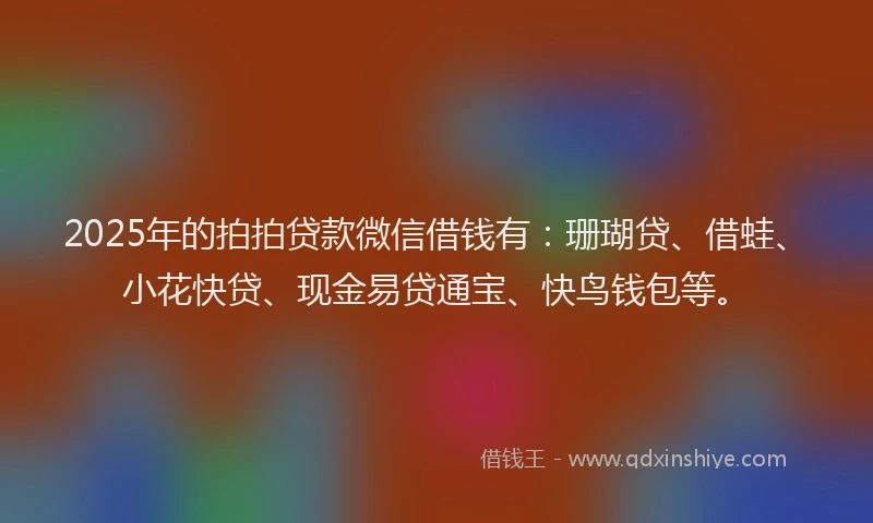 2025年的拍拍贷款微信借钱有：珊瑚贷、借蛙、小花快贷、现金易贷通宝、快鸟钱包等。