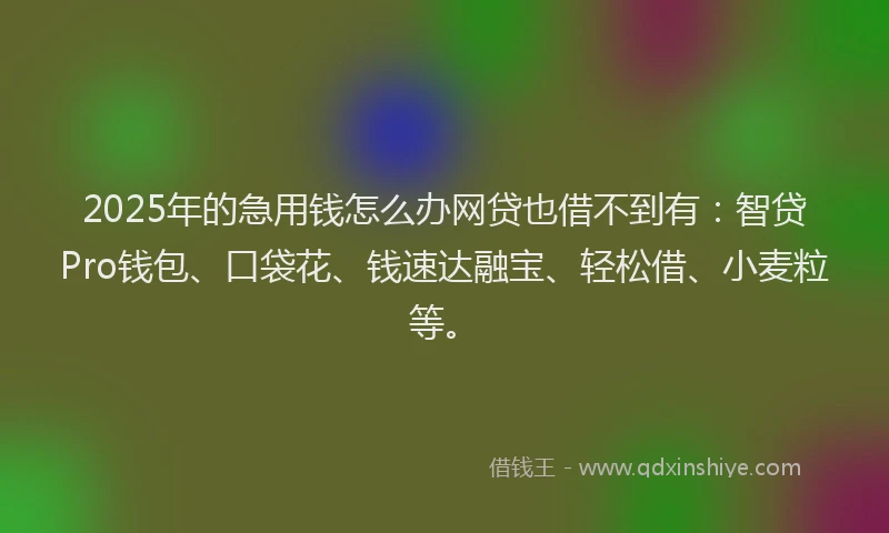 2025年的急用钱怎么办网贷也借不到有：智贷Pro钱包、口袋花、钱速达融宝、轻松借、小麦粒等。