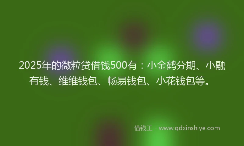 2025年的微粒贷借钱500有：小金鹤分期、小融有钱、维维钱包、畅易钱包、小花钱包等。