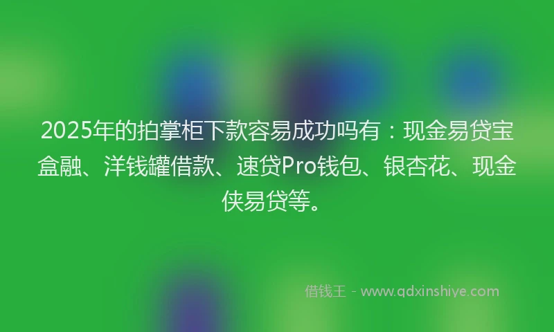 2025年的拍掌柜下款容易成功吗有：现金易贷宝盒融、洋钱罐借款、速贷Pro钱包、银杏花、现金侠易贷等。