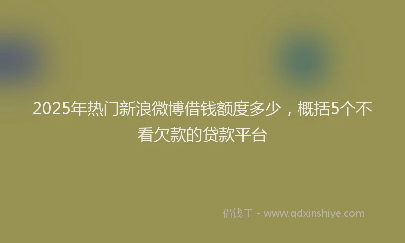 2025年热门新浪微博借钱额度多少，概括5个不看欠款的贷款平台