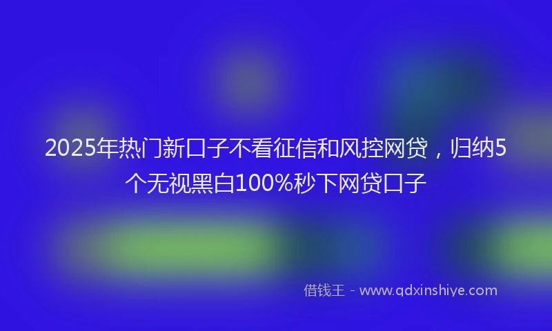 2025年热门新口子不看征信和风控网贷，归纳5个无视黑白100%秒下网贷口子