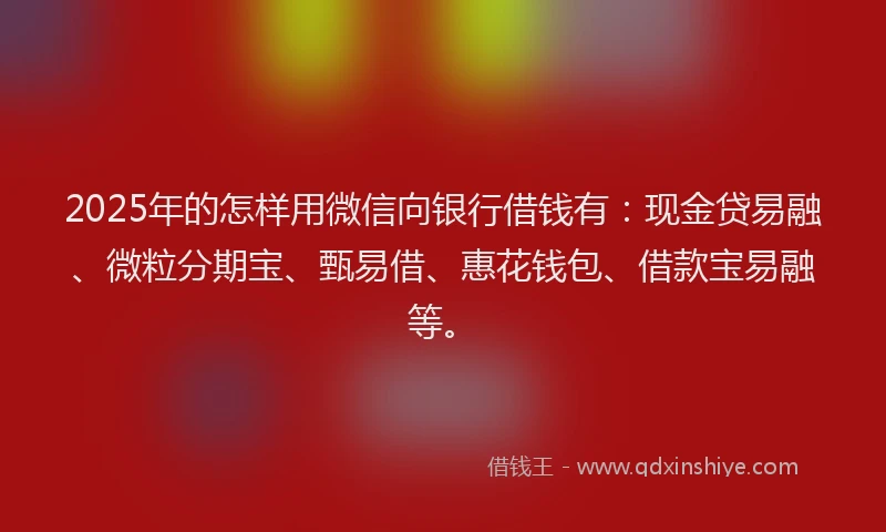 2025年的怎样用微信向银行借钱有：现金贷易融、微粒分期宝、甄易借、惠花钱包、借款宝易融等。