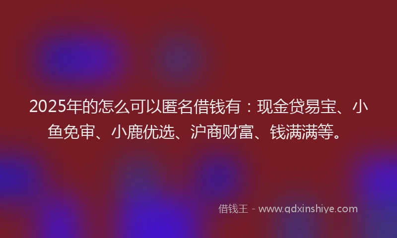 2025年的怎么可以匿名借钱有：现金贷易宝、小鱼免审、小鹿优选、沪商财富、钱满满等。