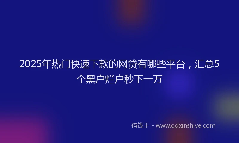2025年热门快速下款的网贷有哪些平台，汇总5个黑户烂户秒下一万