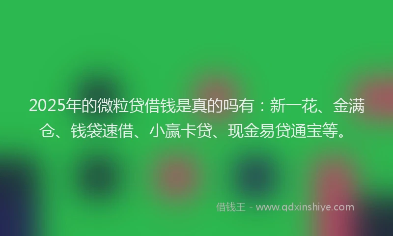 2025年的微粒贷借钱是真的吗有：新一花、金满仓、钱袋速借、小赢卡贷、现金易贷通宝等。