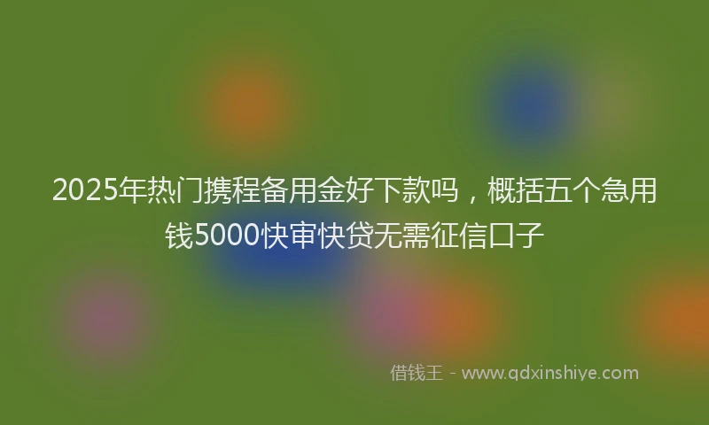 2025年热门携程备用金好下款吗，概括五个急用钱5000快审快贷无需征信口子