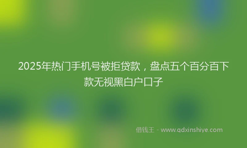 2025年热门手机号被拒贷款，盘点五个百分百下款无视黑白户口子