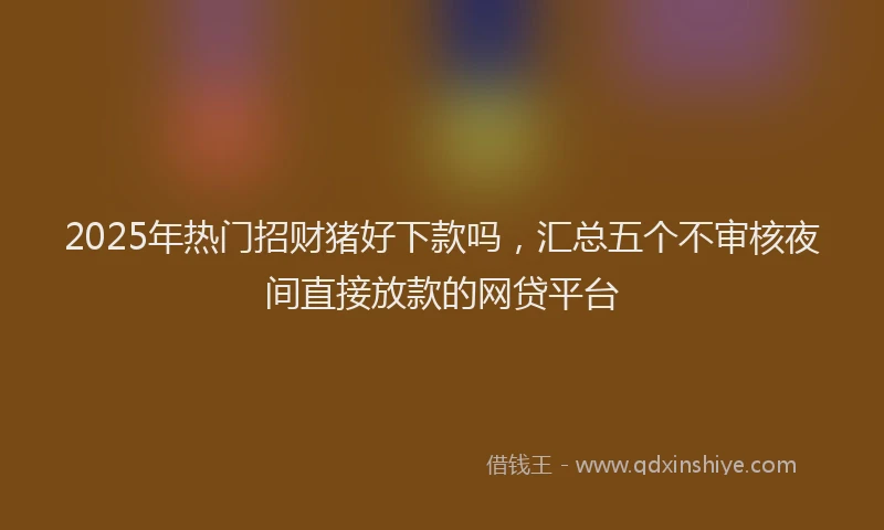 2025年热门招财猪好下款吗，汇总五个不审核夜间直接放款的网贷平台