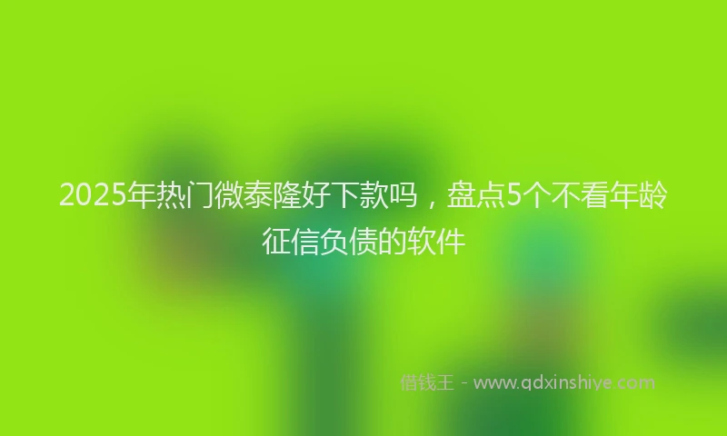2025年热门微泰隆好下款吗，盘点5个不看年龄征信负债的软件