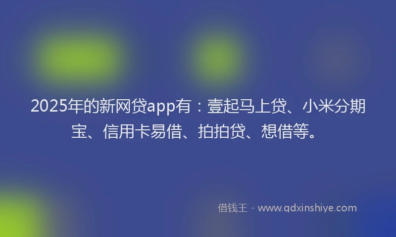 2025年的新网贷app有：壹起马上贷、小米分期宝、信用卡易借、拍拍贷、想借等。