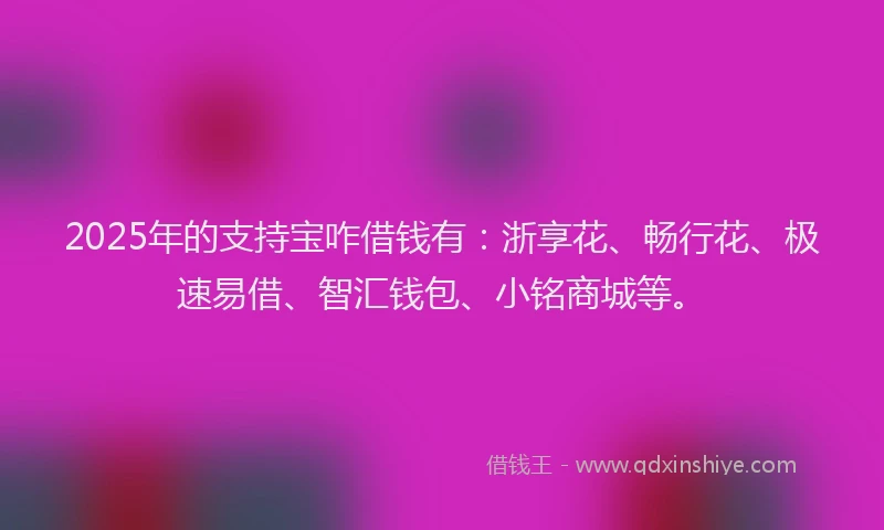 2025年的支持宝咋借钱有：浙享花、畅行花、极速易借、智汇钱包、小铭商城等。