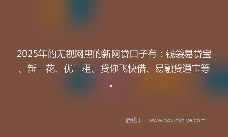 2025年的无视网黑的新网贷口子有：钱袋易贷宝、新一花、优一租、贷你飞快借、易融贷通宝等。