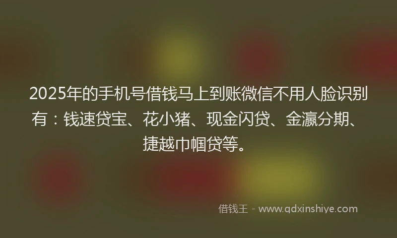 2025年的手机号借钱马上到账微信不用人脸识别有：钱速贷宝、花小猪、现金闪贷、金瀛分期、捷越巾帼贷等。